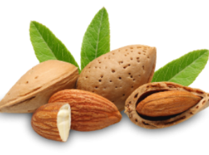 Almond Essential Oil
