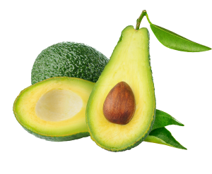 Avocado Essential Oil