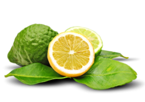 Bergamot Essential Oil