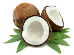 Coconut Essential Oil