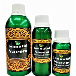 Jannatul Naeem Attar