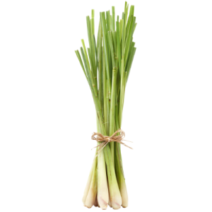 Lemongrass Essential Oil